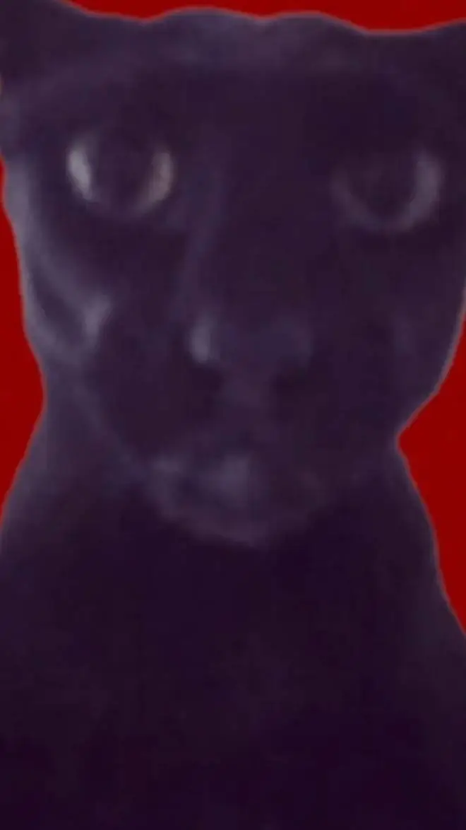 ai character: evil Larry  background