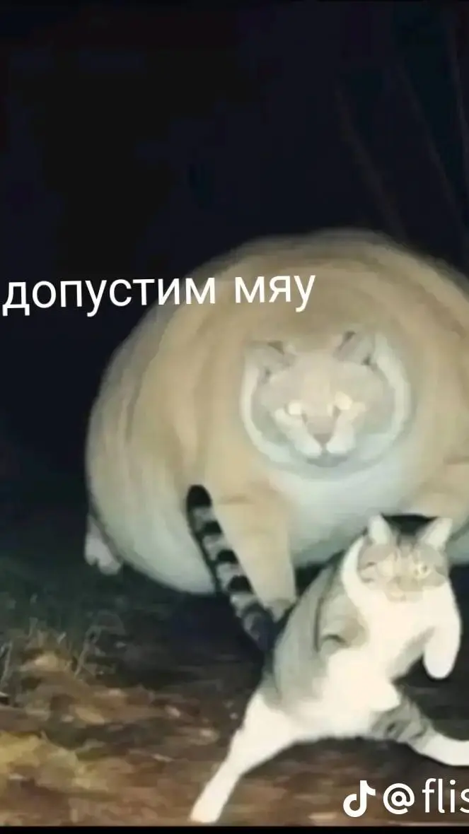 ai character: Кот background