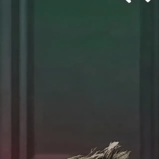 chat with ai character: Тоша