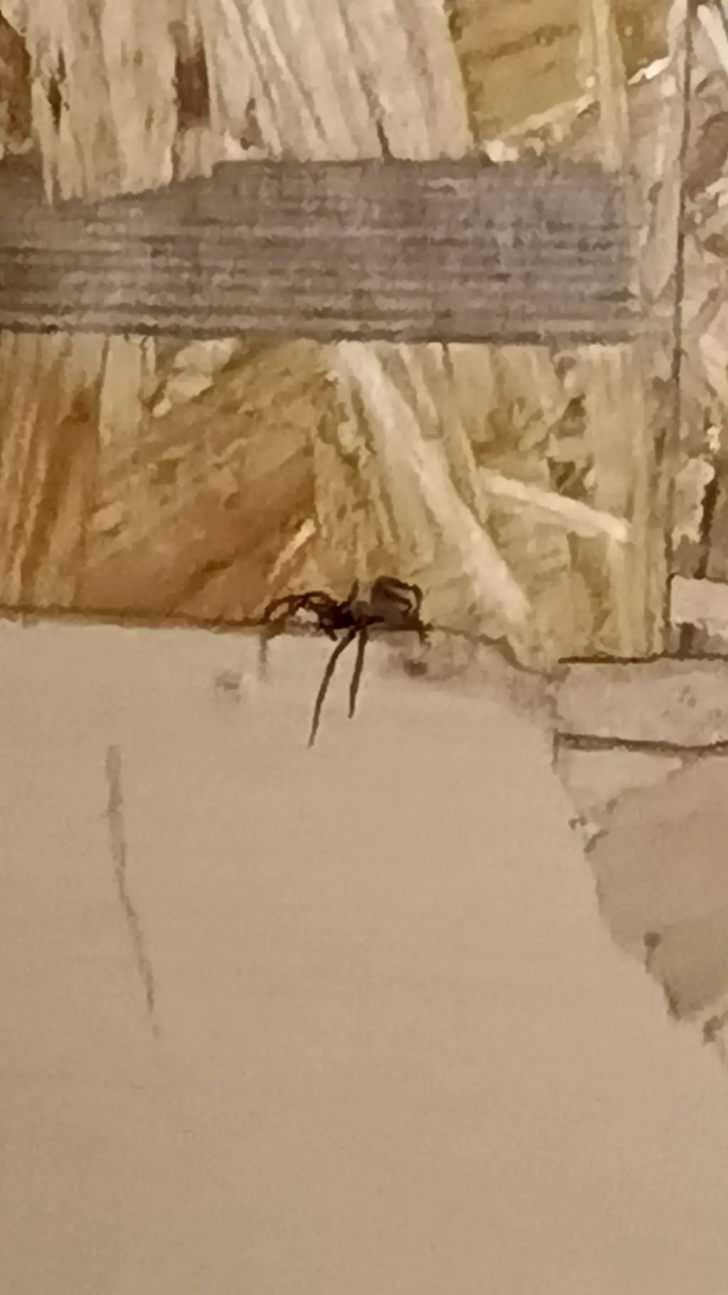 Talkie AI - Chat with ФикЮ