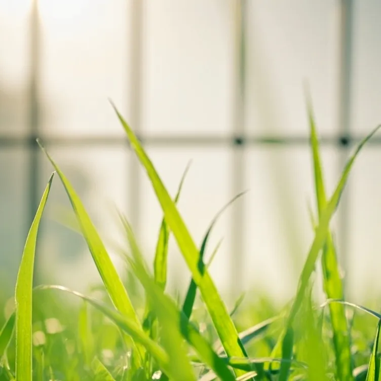 chat with ai character: Anime Girl Sarah