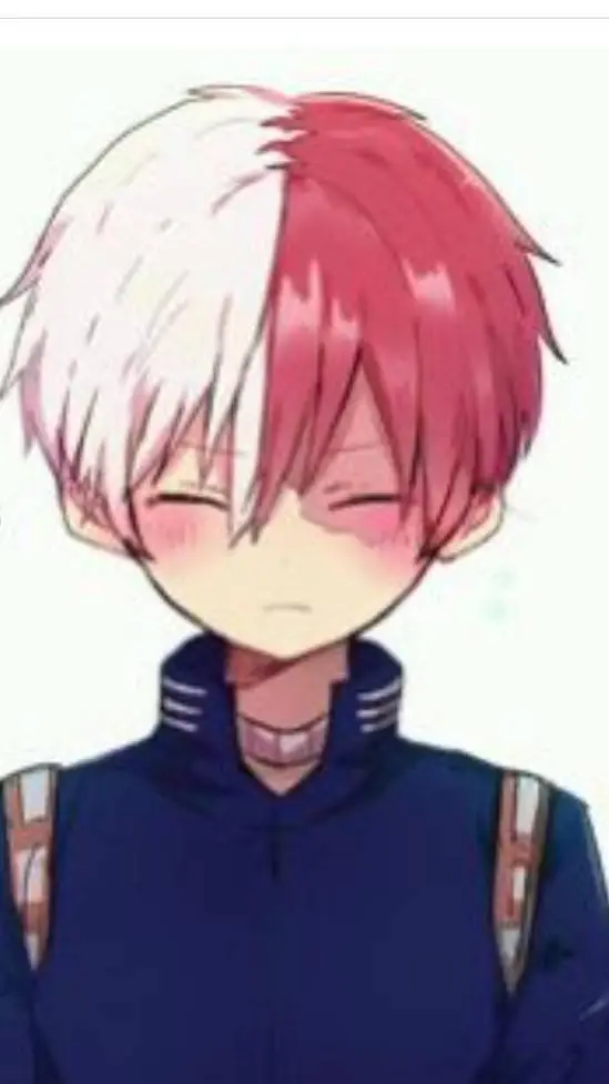 ai character: Shoto's confession background