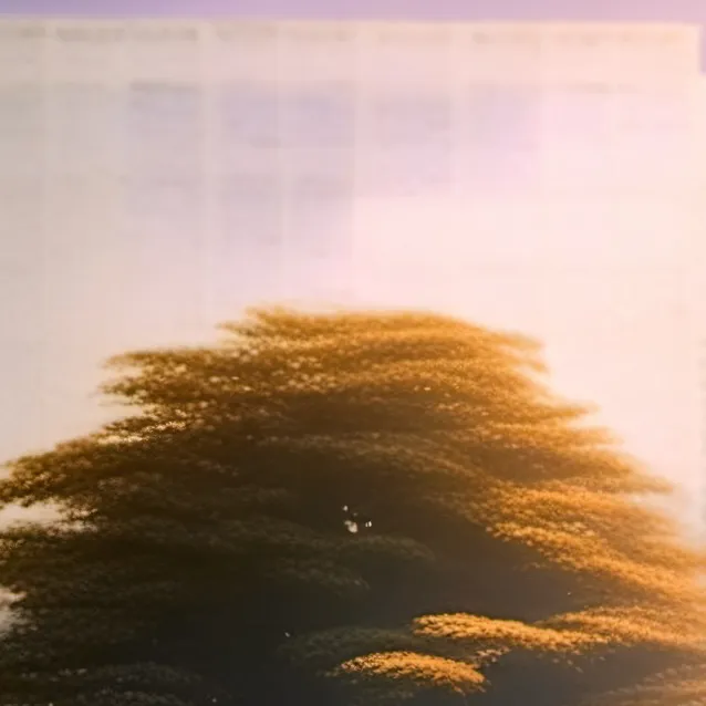 chat with ai character: TRAP HOUSEEE