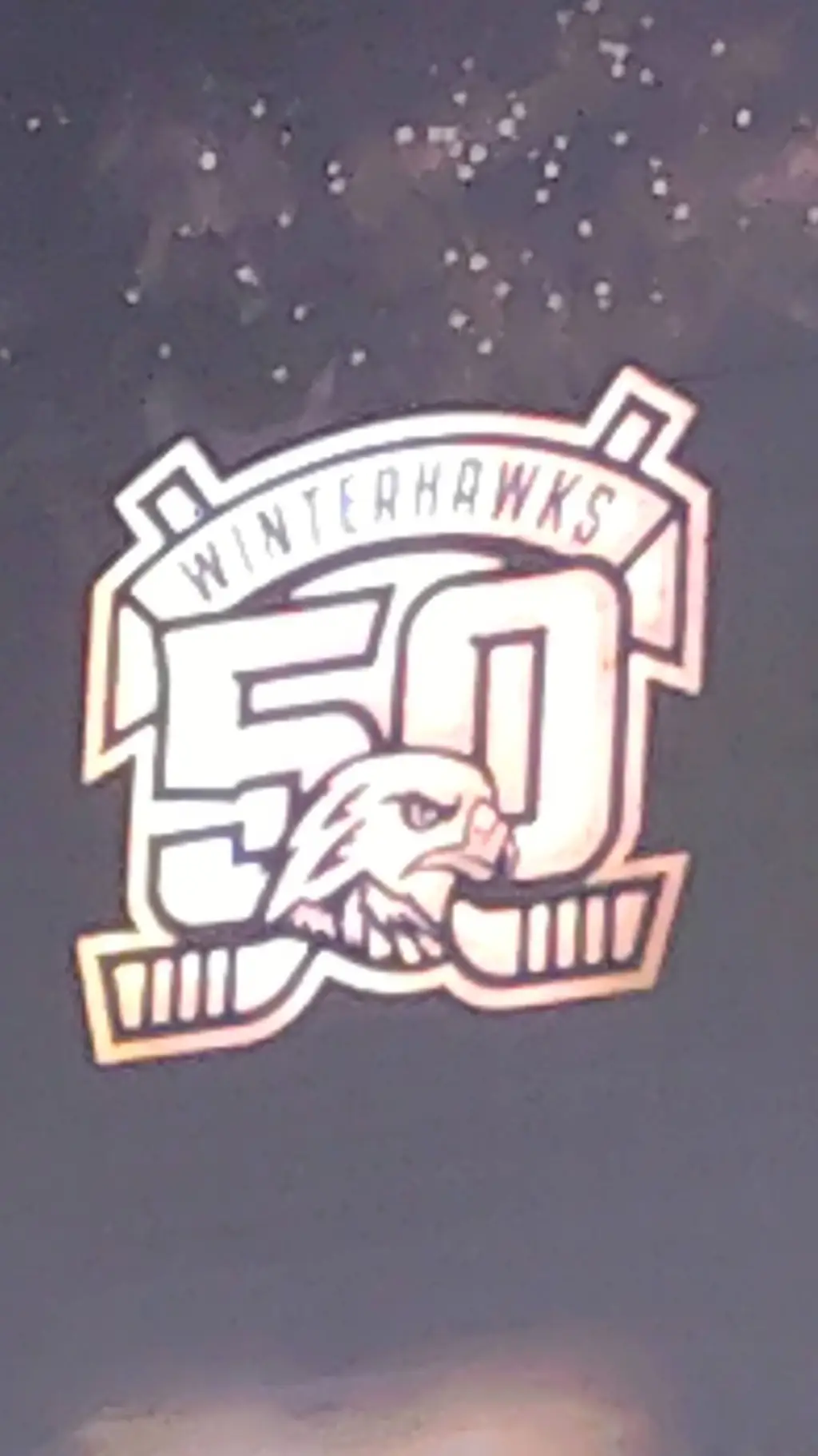 ai character: hockey  background