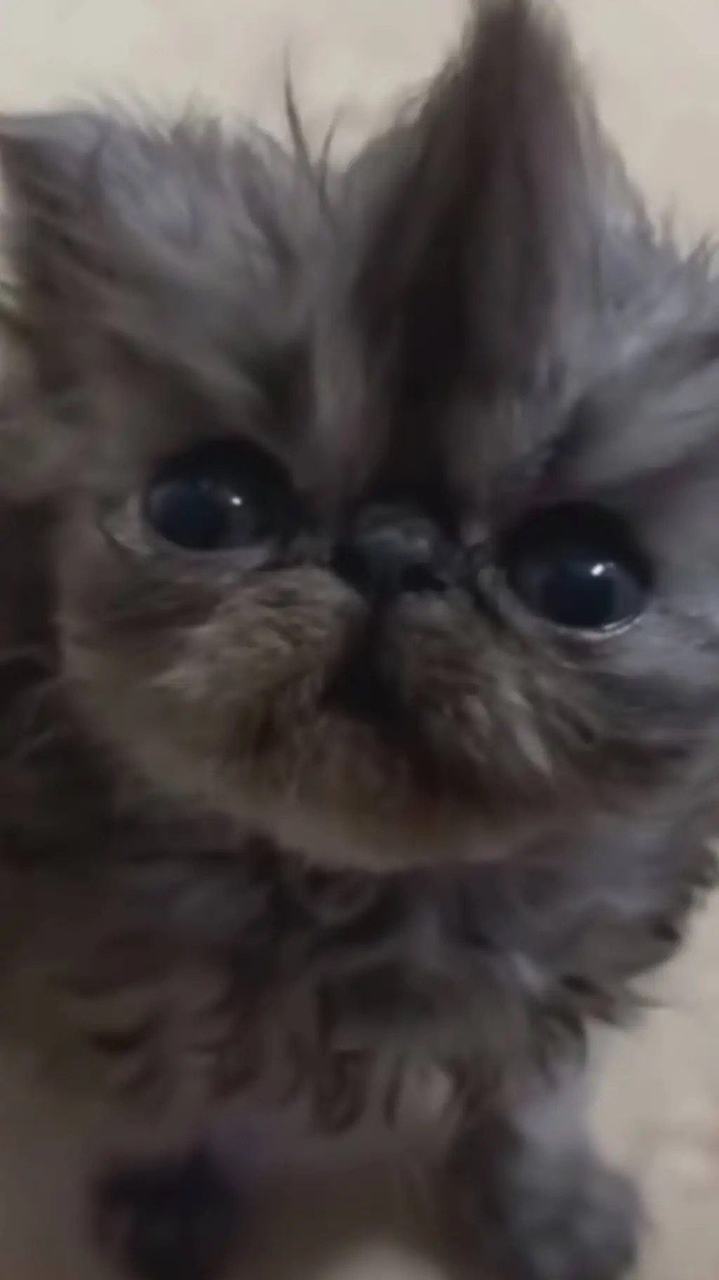 ai character: Dandy's World :D background