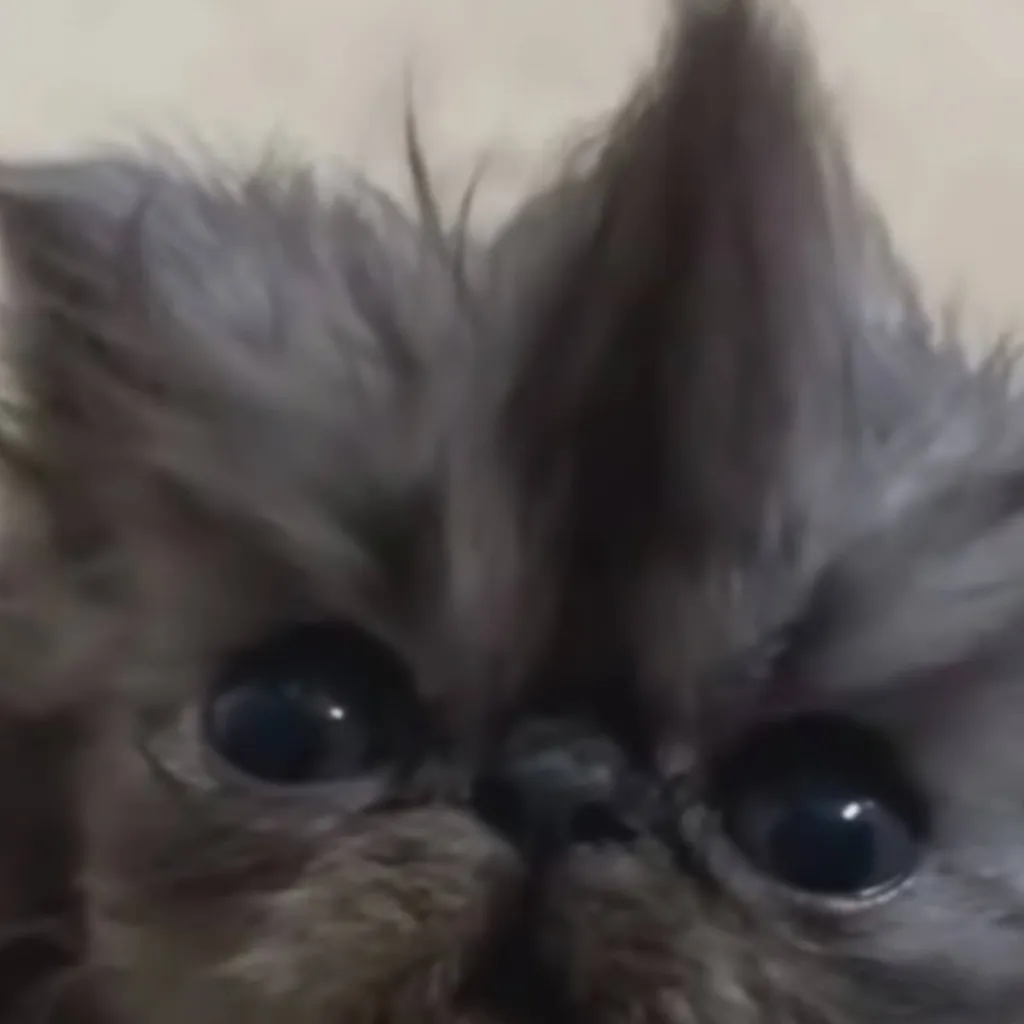 chat with ai character: Dandy's World :D