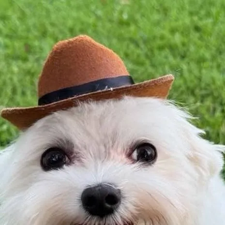 chat with ai character: Forsaken