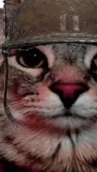 ai character: Undertale  background