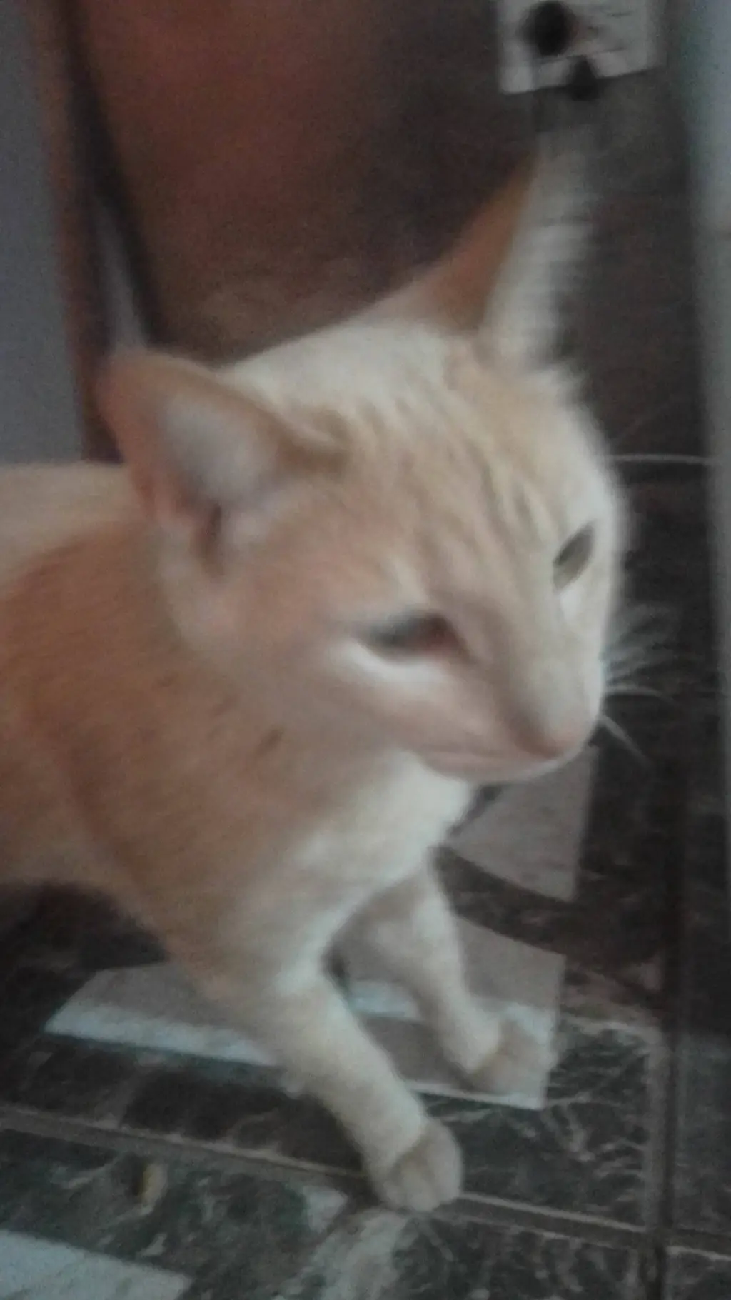 ai character: será verdad?  background