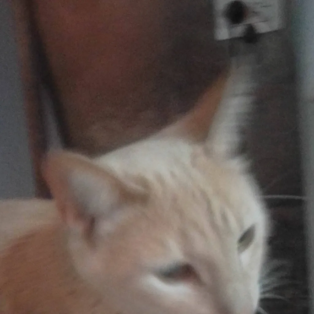 chat with ai character: será verdad? 