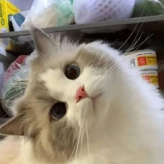 chat with ai character: MHA? 