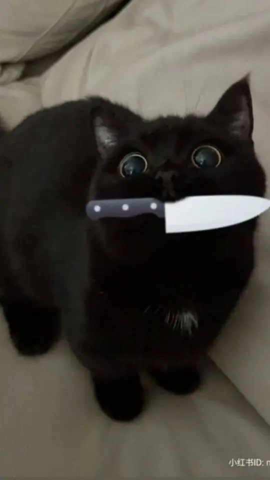 ai character: pierrot x harlequi background