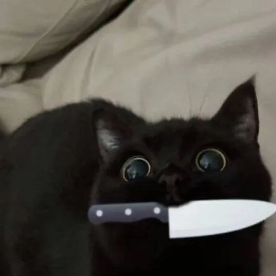 chat with ai character: pierrot x harlequi