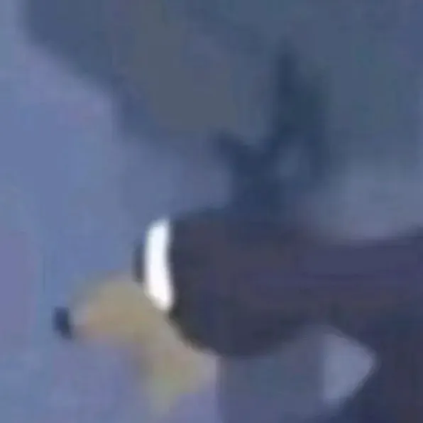 chat with ai character: Forest with mha