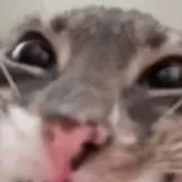 chat with ai character: king von