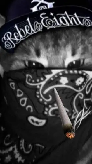 ai character: ddot background