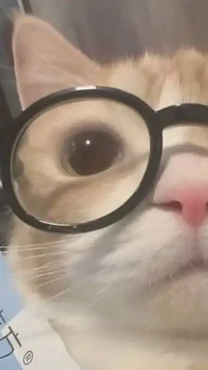 ai character: mi grupo del wasa background