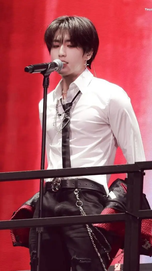 ai character: Han Jisung background