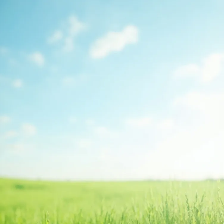 chat with ai character: Battle for the App