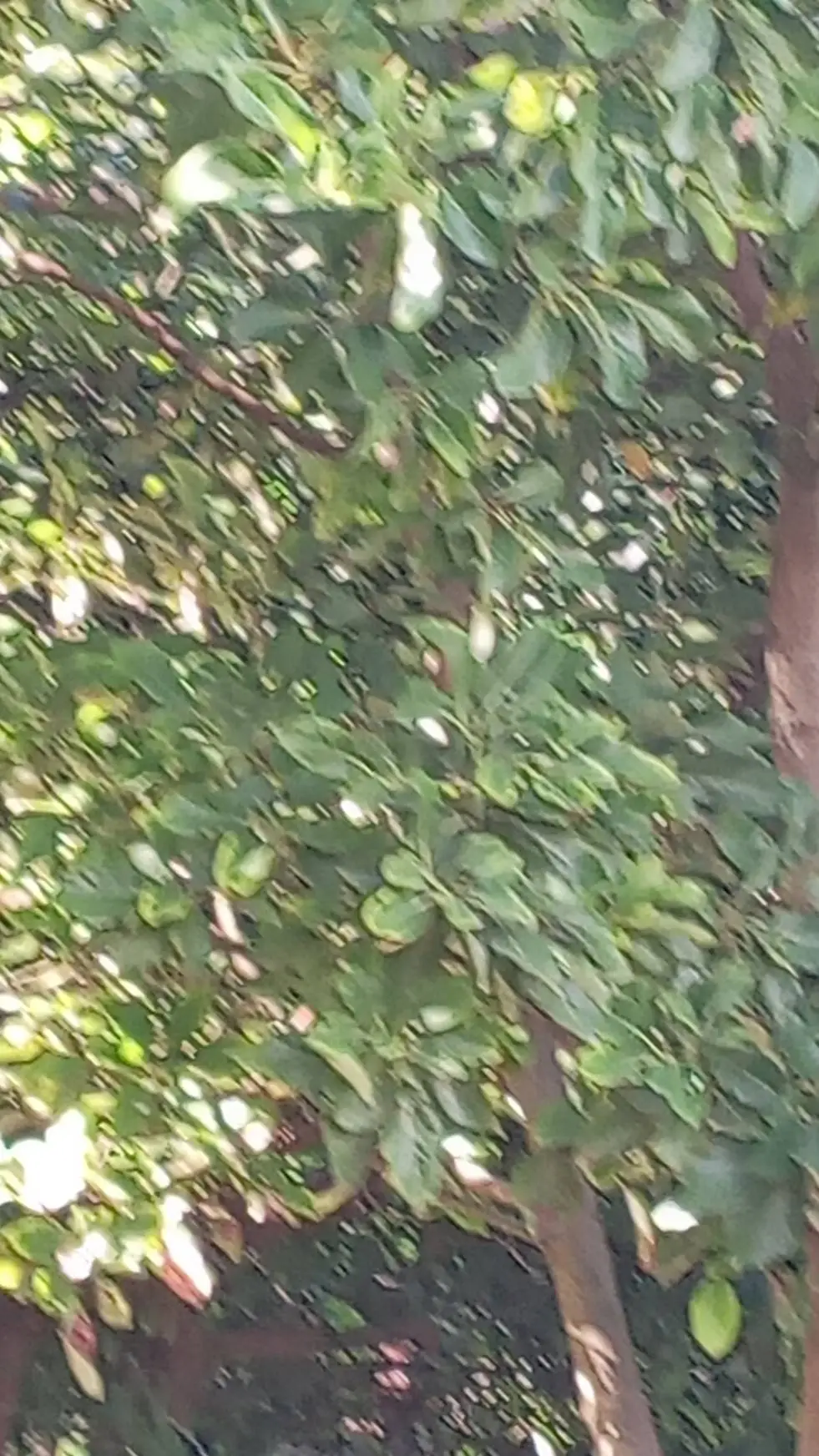 ai character: Alan Becker ^_^🔷 background