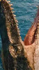 ai character: mosasaurus background