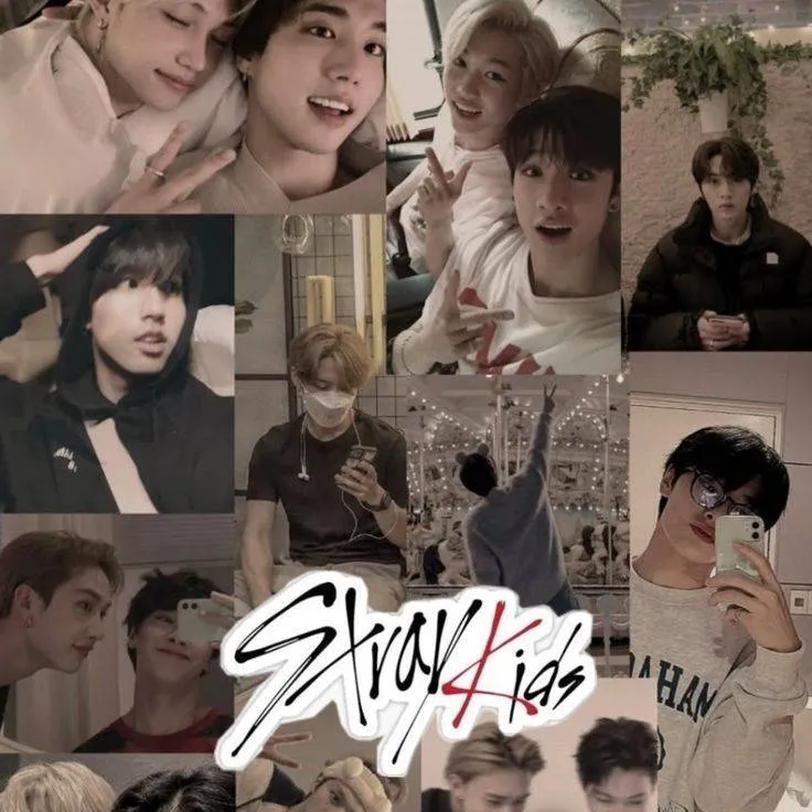 chat with ai character: ~stray kids~