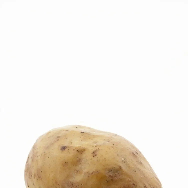 chat with ai character: Potato. 