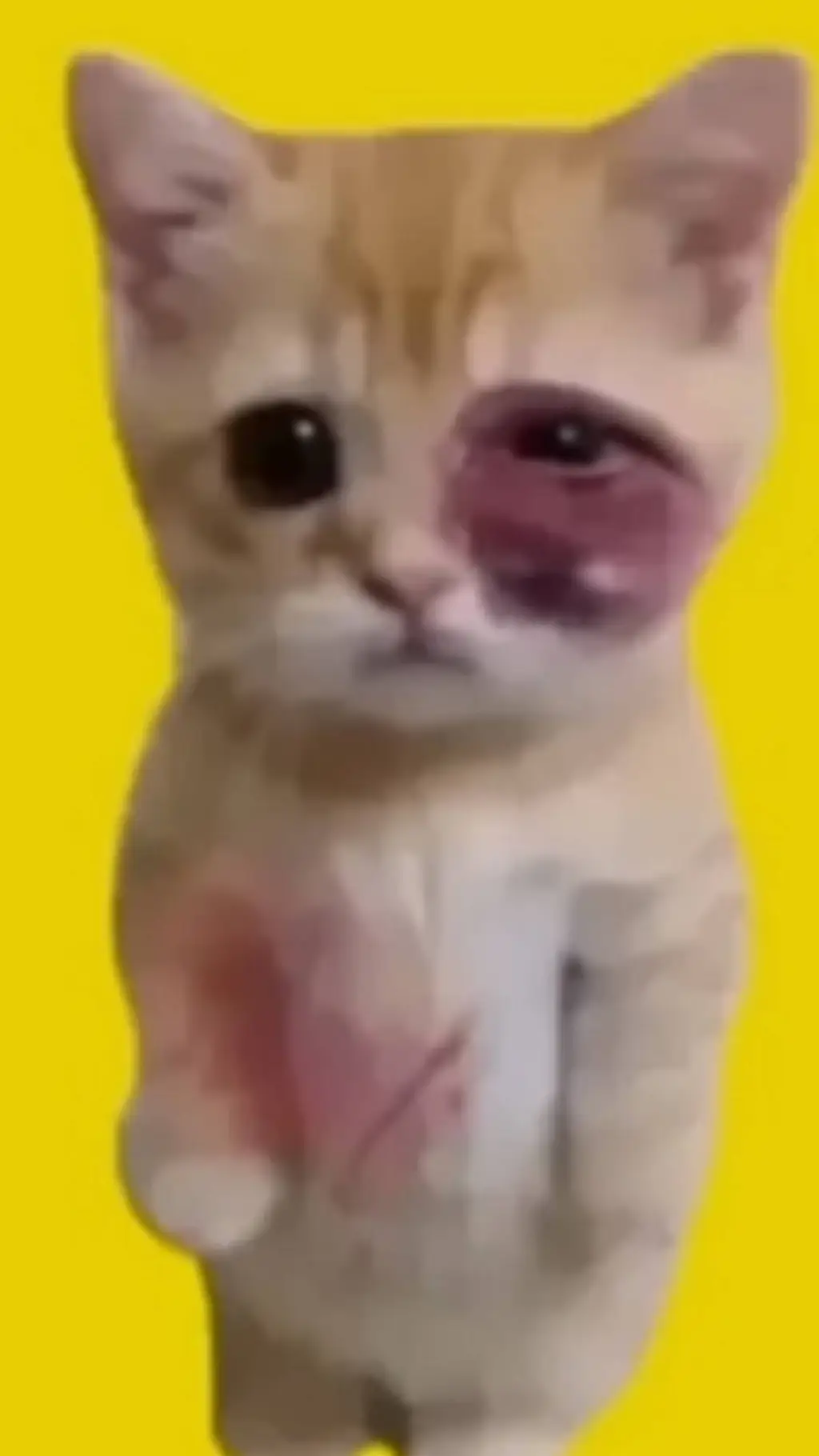 ai character: Gatito lastimado background