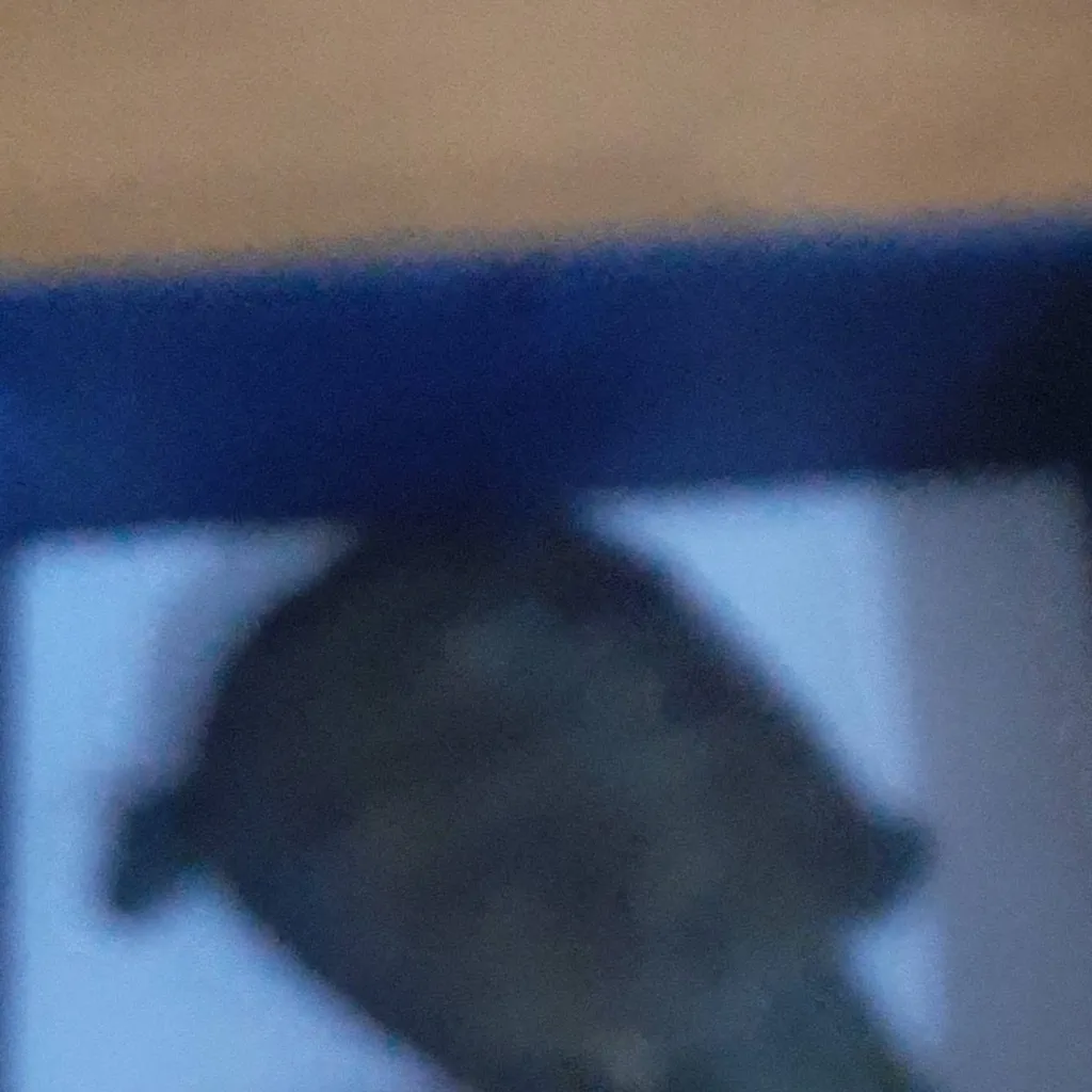 chat with ai character: Susana 🕊🐢