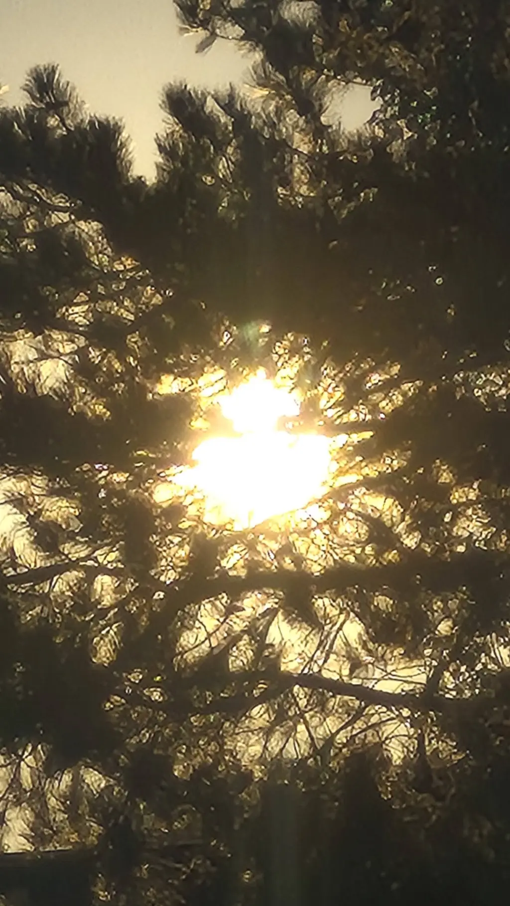 ai character: Post-TOA background