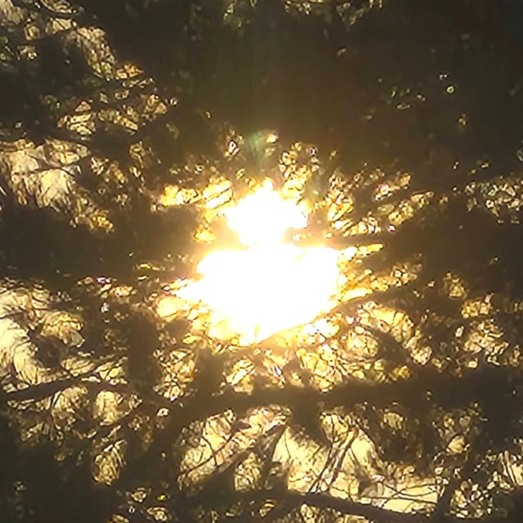 chat with ai character: Post-TOA