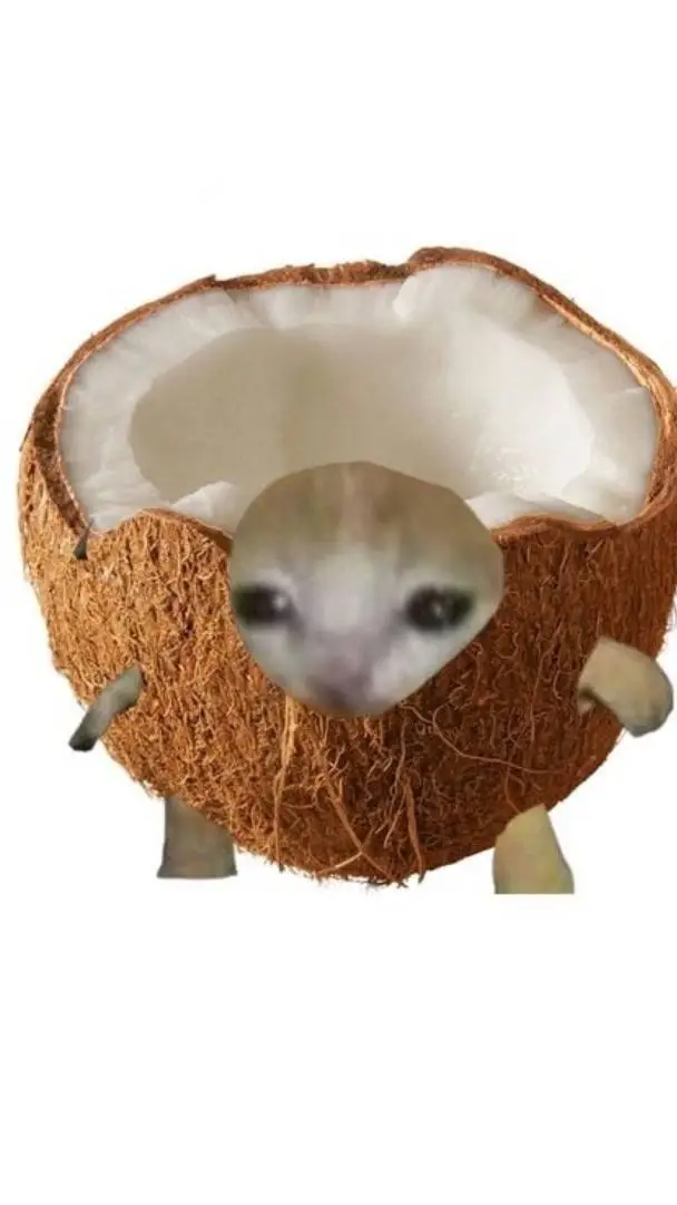 Talkie AI - Chat with Coconut kitty