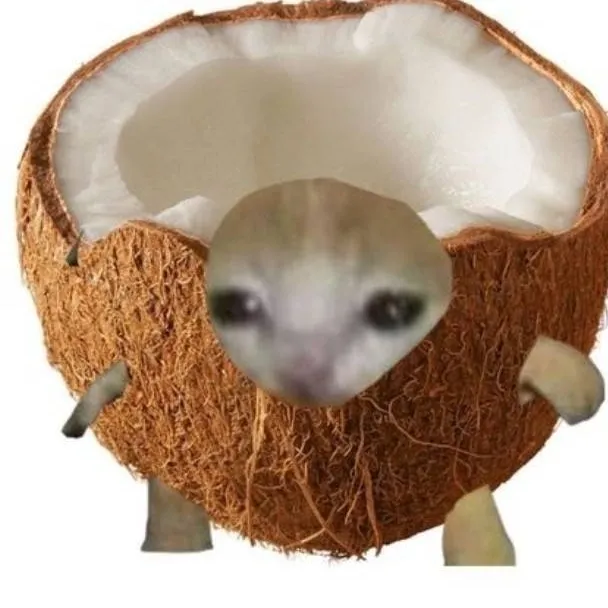 chat with ai character: Coconut kitty