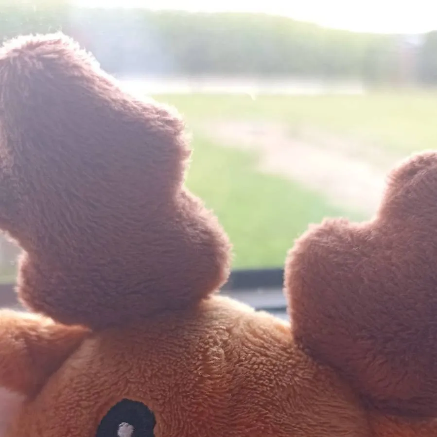 chat with ai character: simka🧸is a baby?1!