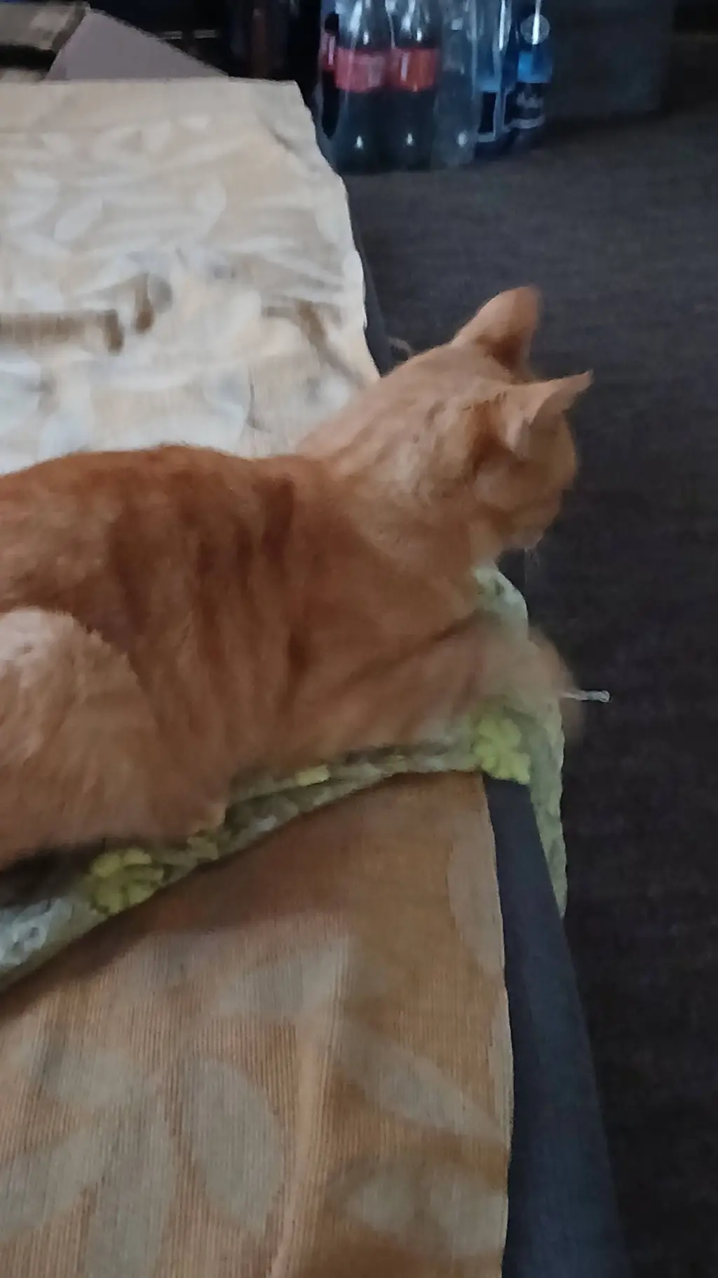 ai character: APRIL 1- background