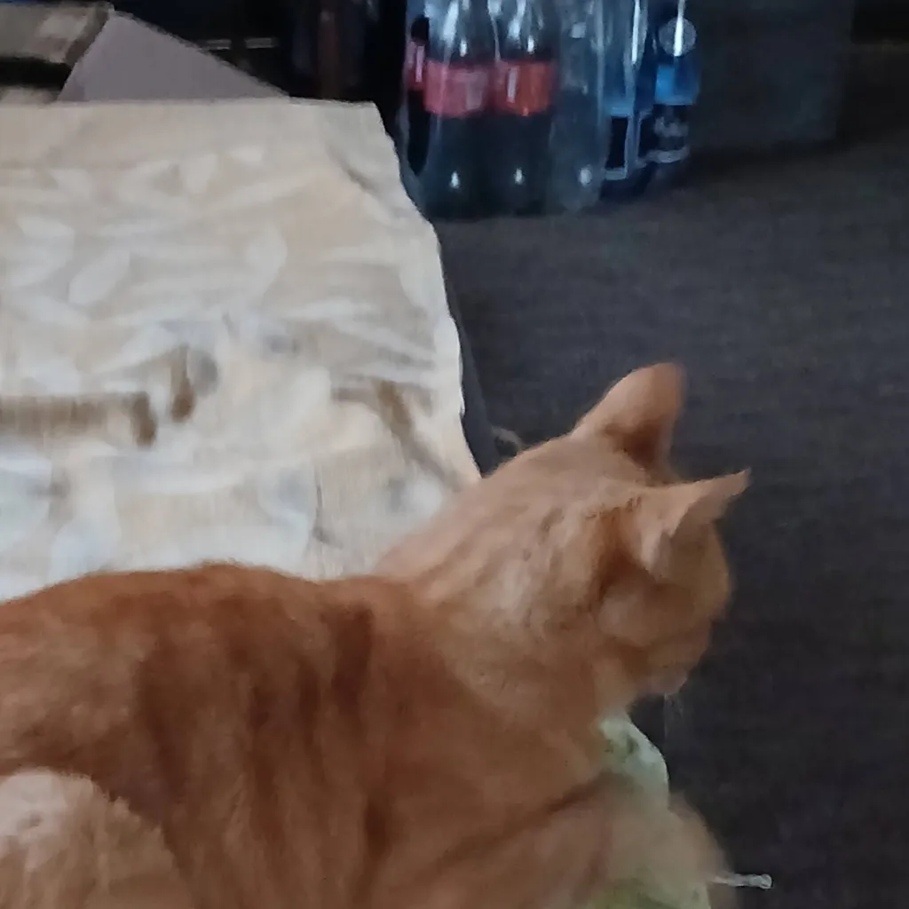 chat with ai character: APRIL 1-