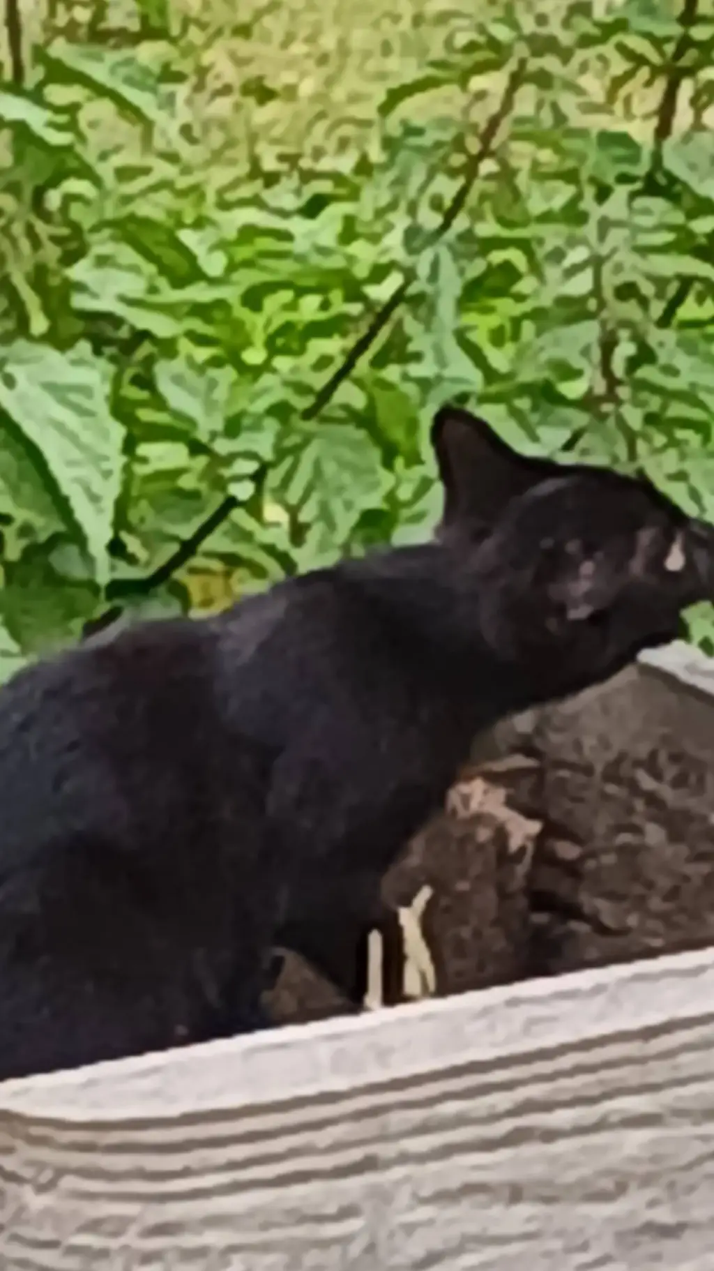 ai character: ☆APRIL 1☆ background