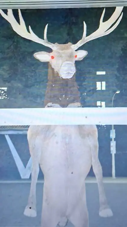 ai character: nostromo  background