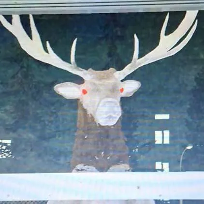 chat with ai character: nostromo 