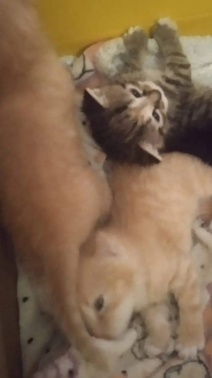 ai character: 😖capitan sick🩹 background