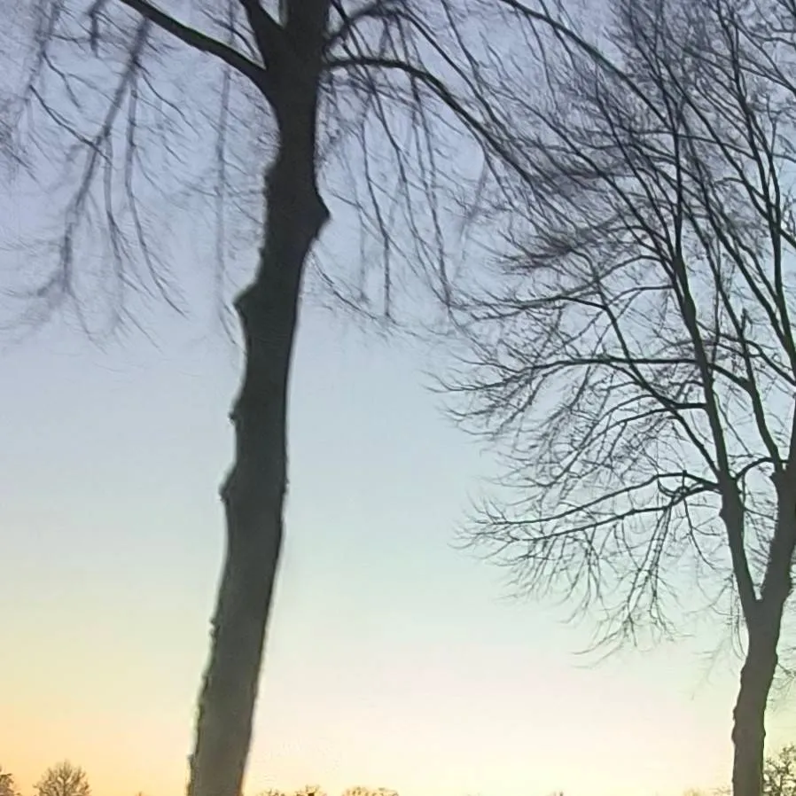 chat with ai character: MHA