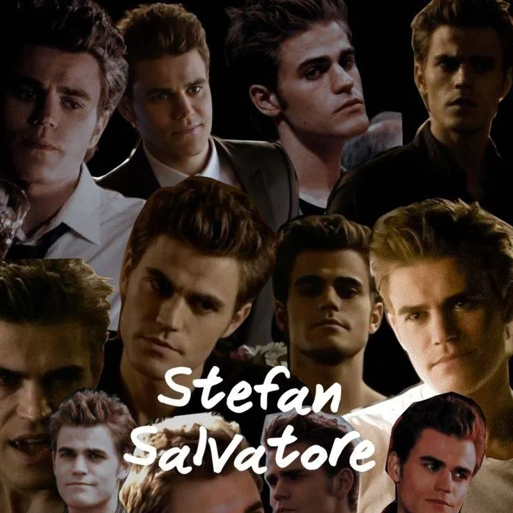 chat with ai character: Stefan Salvatore 
