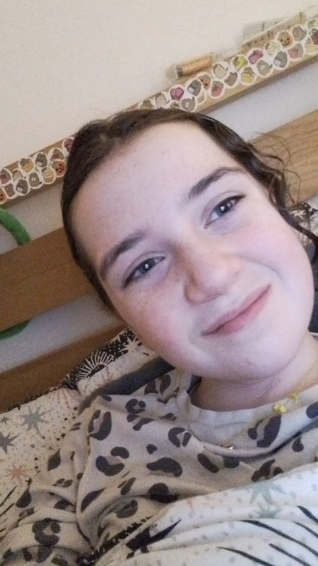 ai character: Ailsa background