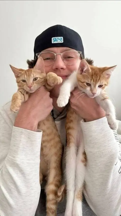 ai character: cam2r background