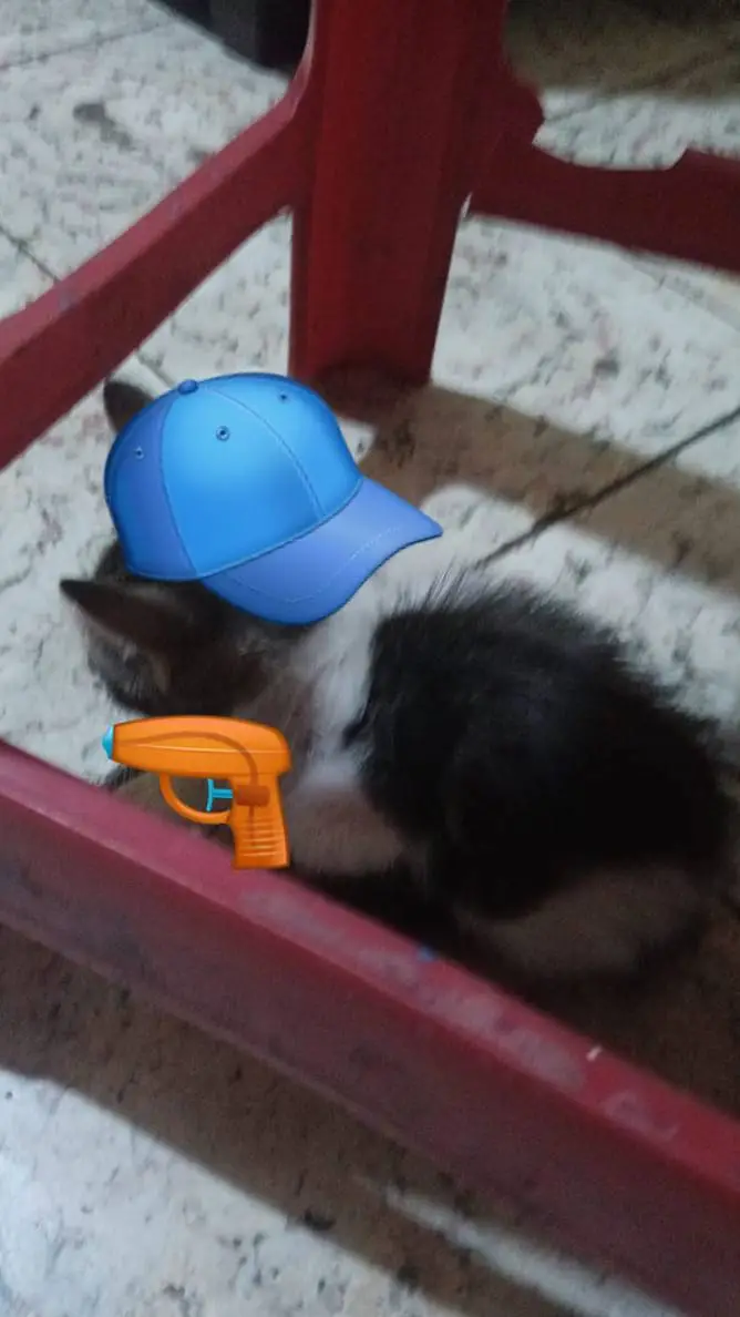 ai character: gato protector background