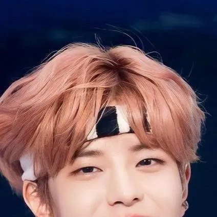 chat with ai character: 🐶 Seungmin 🐶