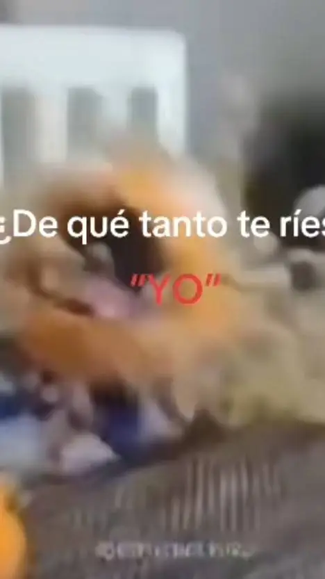 ai character: aveces el día da: background