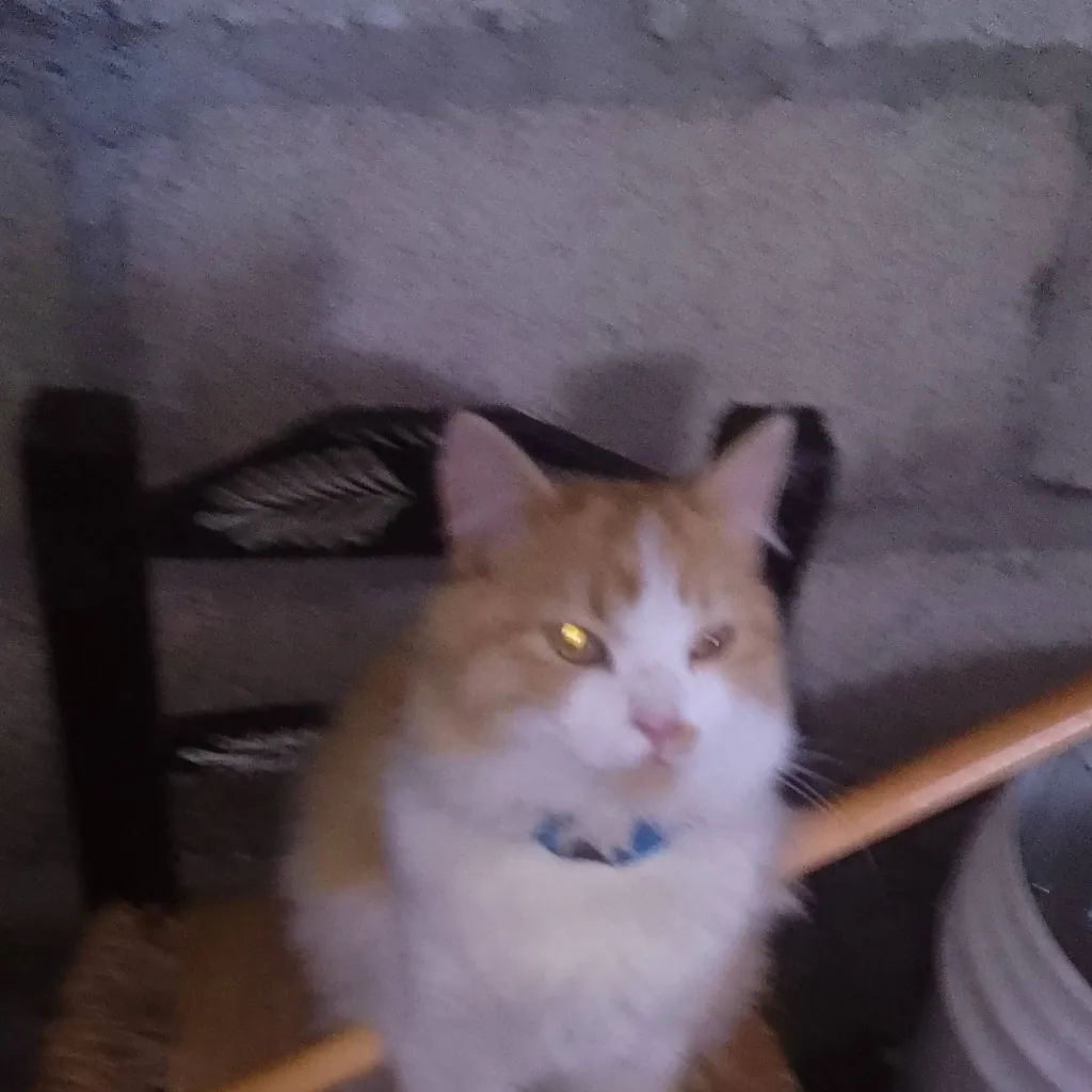 chat with ai character: el mandarino