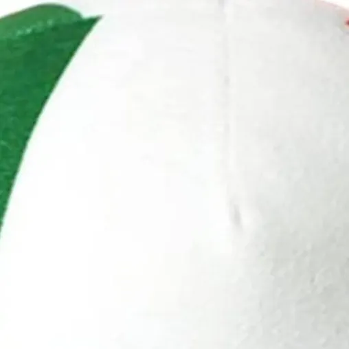 chat with ai character: peluche de México