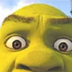 chat with ai character: SHREK?!?!?!